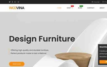 WooVina (screenshot desktop)