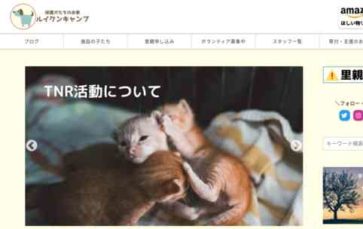 Campeggio (screenshot desktop)