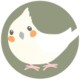 Author Icon