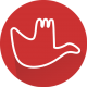 Author Icon
