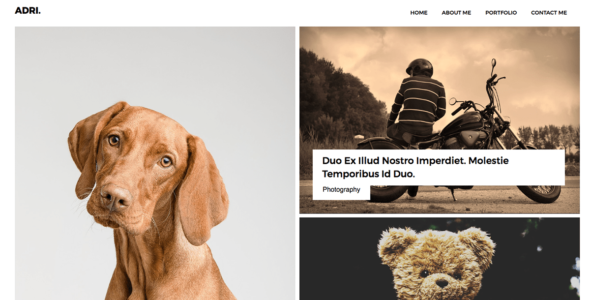 Adri (WordPress)