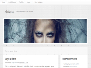 Adroa (WordPress)