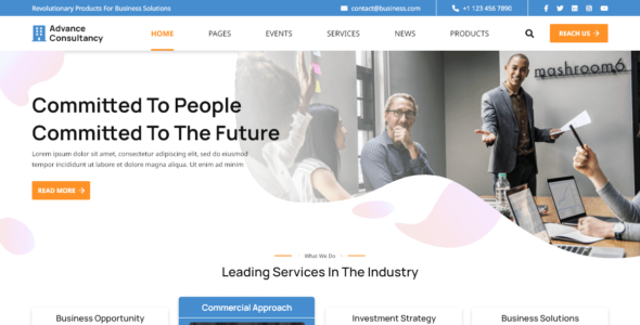 Advance Consultancy (WordPress)