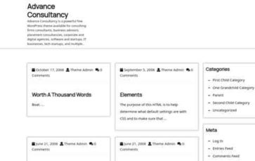 Advance Consultancy (screenshot desktop)