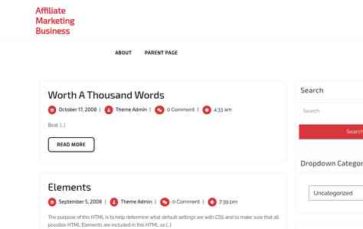 Affiliate Marketing Business (screenshot desktop)