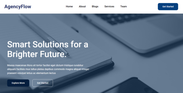 AgencyFlow (WordPress)