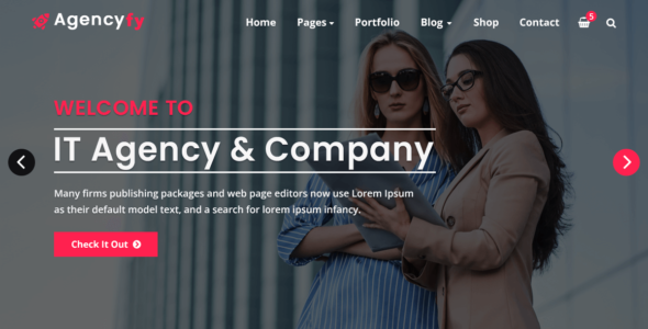 Agencyfy (WordPress)
