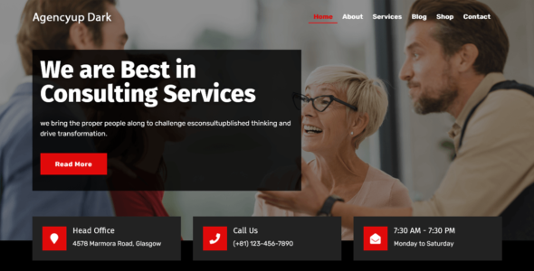 Agencyup Dark (WordPress)
