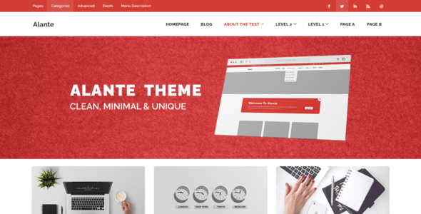 Alante Biz (WordPress)
