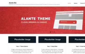 Alante Biz (screenshot desktop)