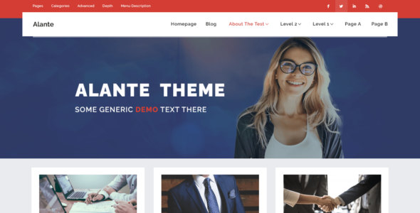 Alante Corp (WordPress)