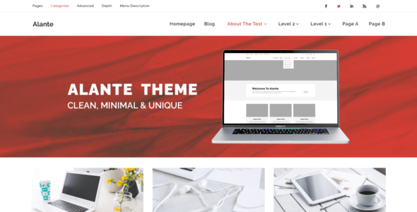 Alante Store (WordPress)