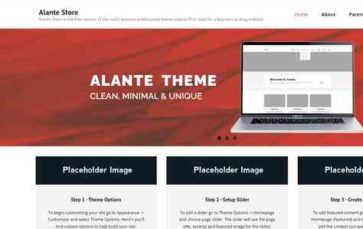 Alante Store (screenshot desktop)