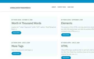 Ambulance Paramedics (screenshot desktop)