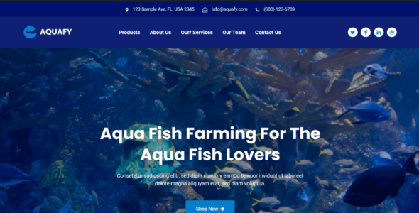 Aquafy Starter (WordPress)