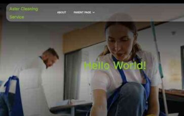 Aster Cleaning Service (screenshot desktop)