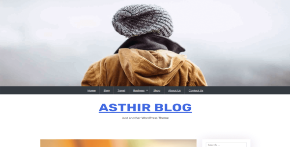 Asthir Blog (WordPress)