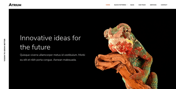 Atrium Lite (WordPress)