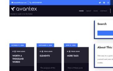 Avantex Automobile (screenshot desktop)
