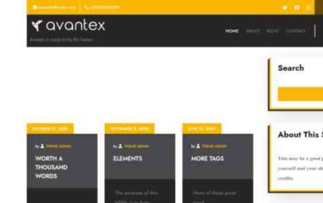 Avantex Construction (screenshot desktop)