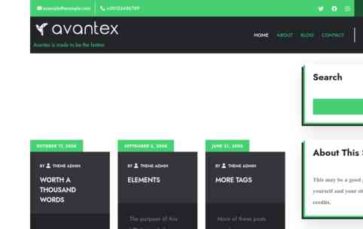 Avantex Education (screenshot desktop)