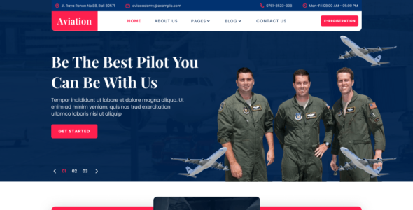 Aviation Industry (WordPress)