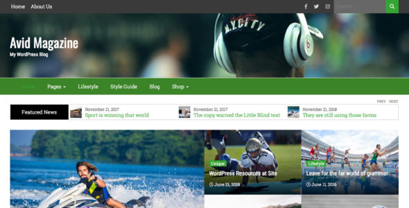 Avid Magazine (WordPress)