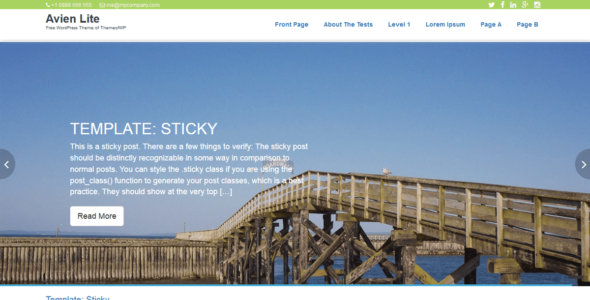 Avien Light (WordPress)