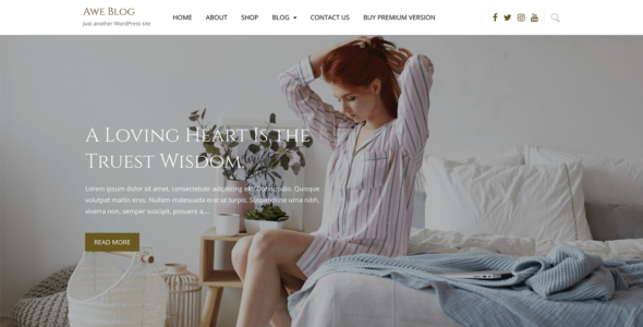 Awe Blog (WordPress)