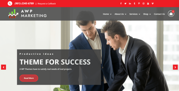 Awp Marketing Agency (WordPress)
