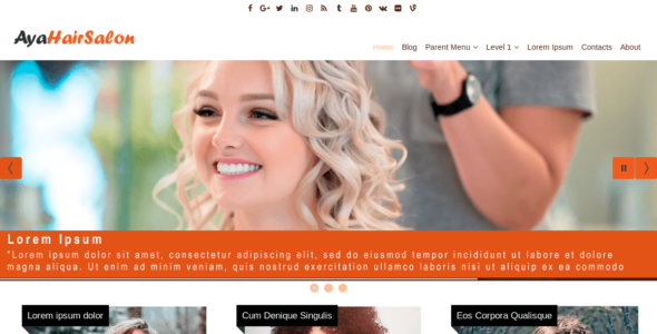 AyaHairSalon (WordPress)