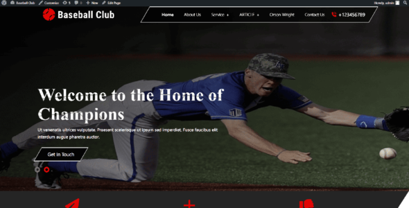 Baseball Sports Club (WordPress)