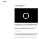 Baselayer (WordPress)