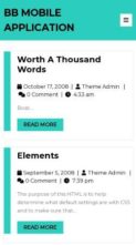 BB Mobile Application (screenshot mobile)