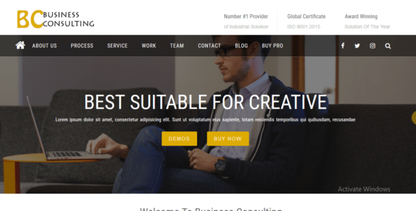 BC Business Consulting (WordPress)