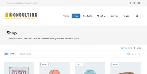 BC Store (WordPress)