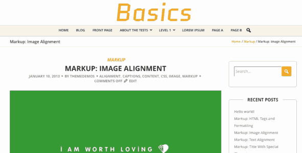 BCorp Basics (WordPress)