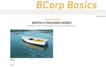 BCorp Basics (screenshot desktop)