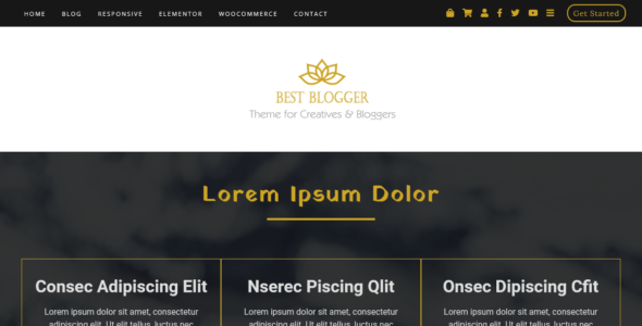 Best Blogger (WordPress)