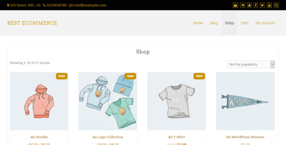 Best eCommerce (WordPress)