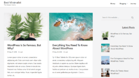 Best Minimalist (WordPress)