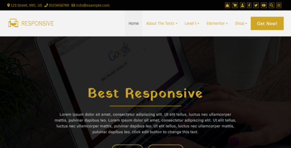 Best Responsive (WordPress)