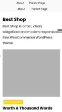 Best Shop (screenshot mobile)