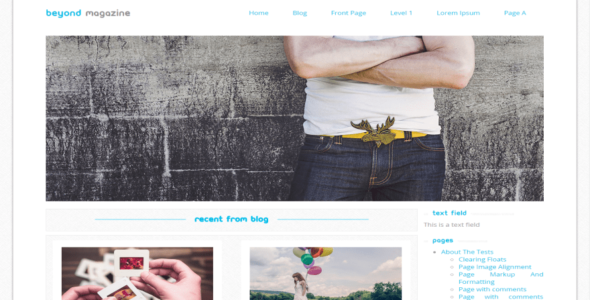 Beyond Magazine (WordPress)