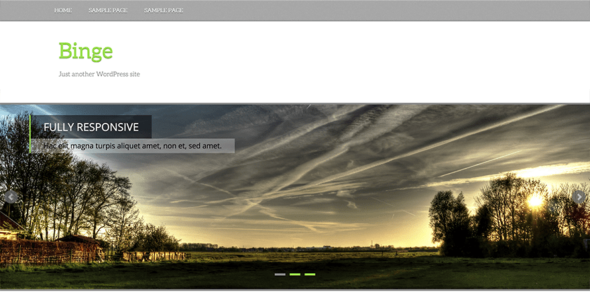 Binge (WordPress)