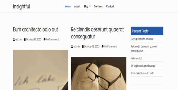 BInsight (WordPress)