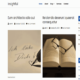 BInsight (WordPress)