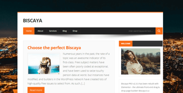BiscayaLite (WordPress)