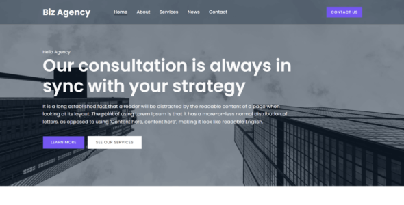 Biz Agency (WordPress)