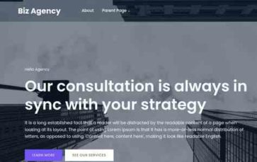 Biz Agency (screenshot desktop)